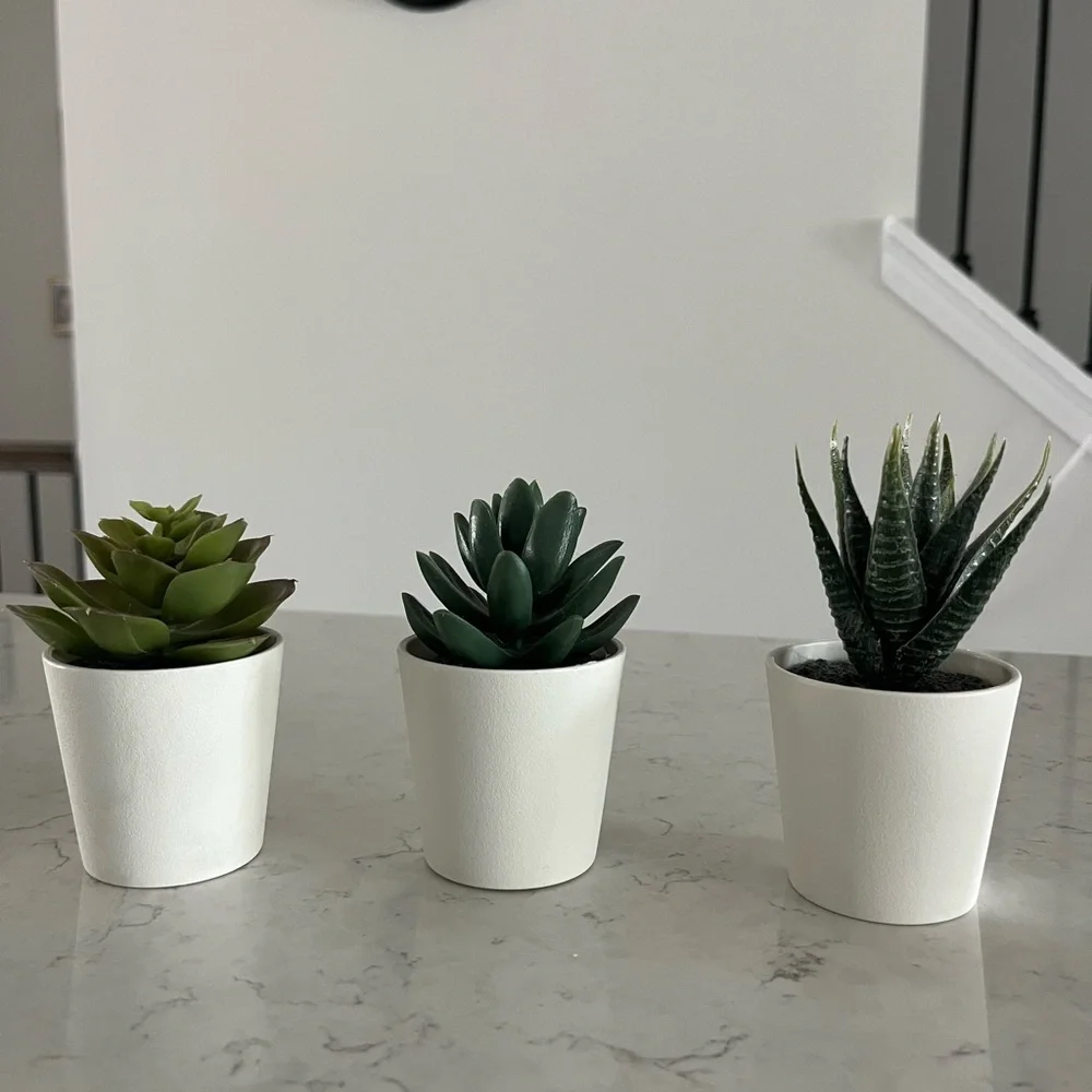 IKEA Succulent Set of 3
